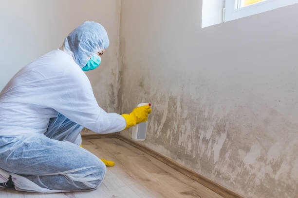 Mold inspector in Harmans performing thermal imaging