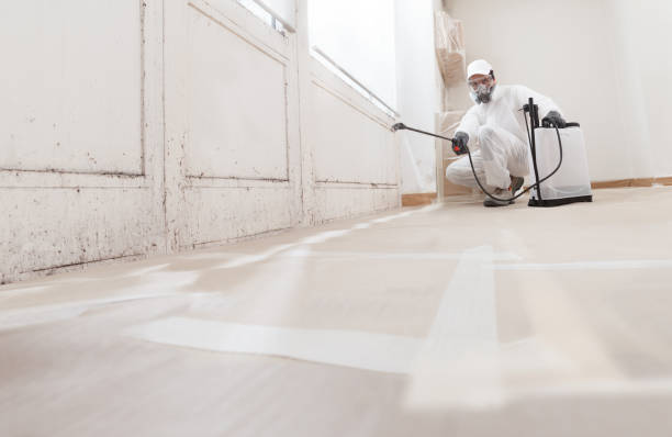 Black mold remediation team in Harmans